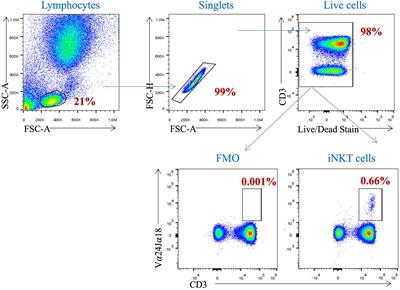 Free sugar intake is associated with reduced proportion of circulating invariant natural killer T cells among women experiencing overweight and obesity